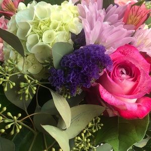 Meet your Posher, Allie